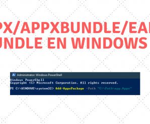 Cómo Instalar Archivos appx/appxbundle/eappxbundle en Windows 10 3 Cómo Instalar Archivos appx/appxbundle/eappxbundle en Windows 10